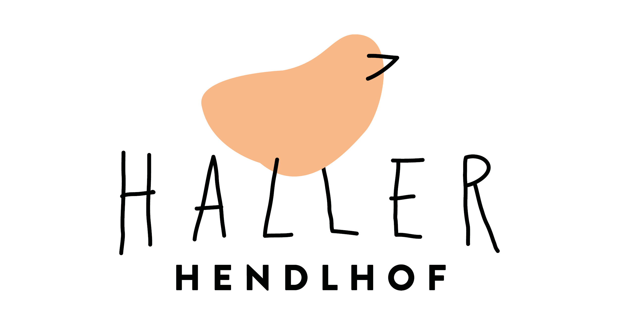 (c) Hendlhof-haller.at